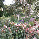 grounds 3.jpg