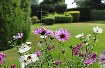 gardens-053-2-768x500.jpg