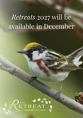 New publication in December (6).png