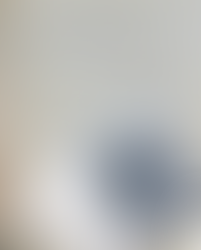 Patterns: evolution and death of the diversity of American Axes