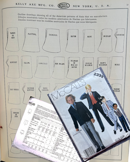 Patterns: evolution and death of the diversity of American Axes