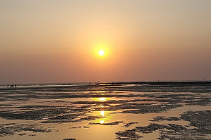 Akshi beach 🌅.jpg