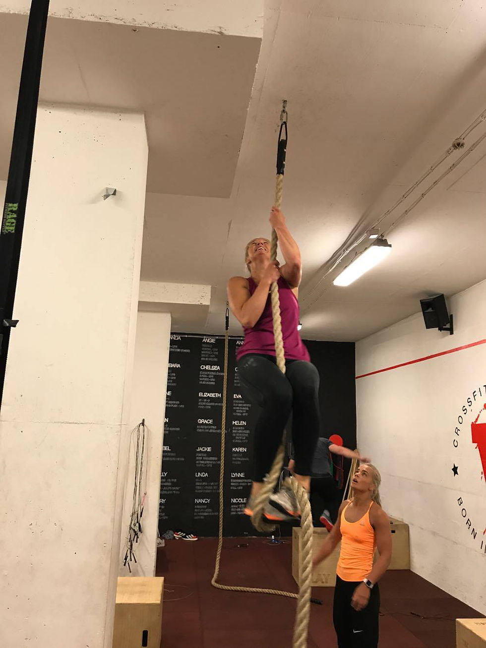 20495604_10159075208605150_395162513_o