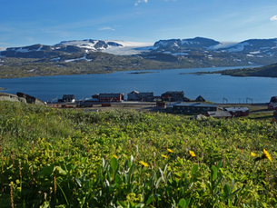 Yogahelg på Finse 1222 — Finn roen på taket av Norge
