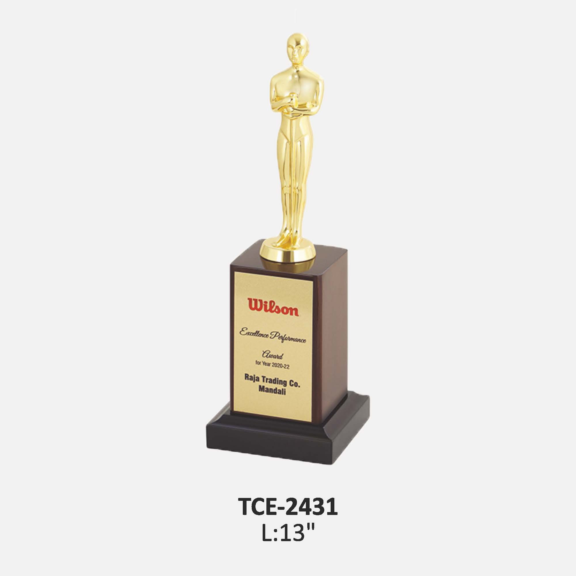 TCE 2431