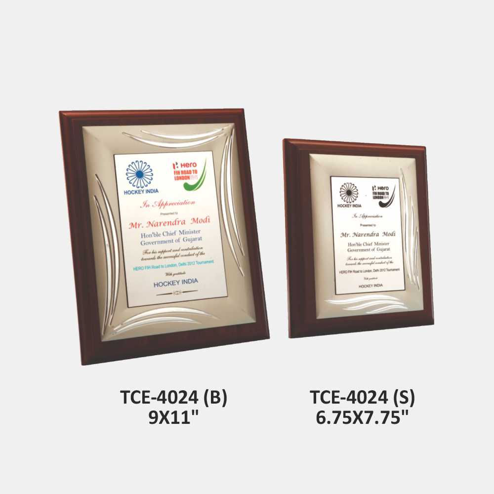 TCE 4024