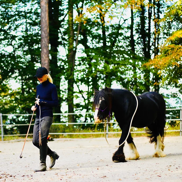 disagio del cavallo amor en