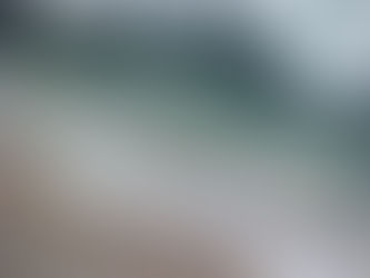 Carpe Diem- An Original Poem.