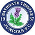 bathgate-thistle.jpg