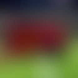 Match Report Womens Rec Team- Arniston Rangers