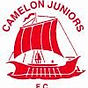 camelon.jpg