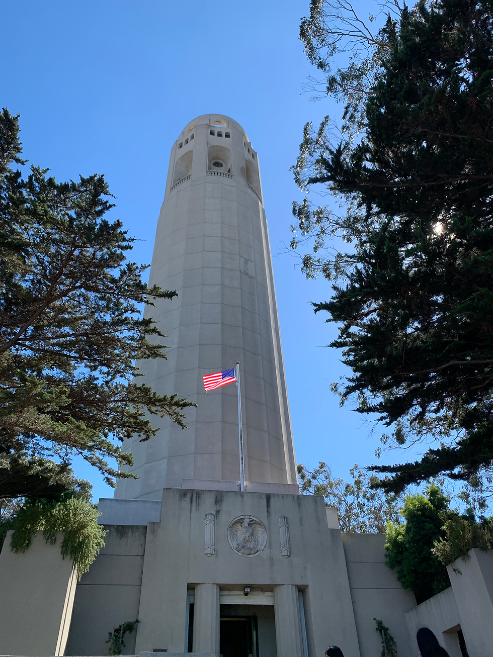 Thumbnail: The Hill Hiker San Francisco (1/2 day_up to 6 people)