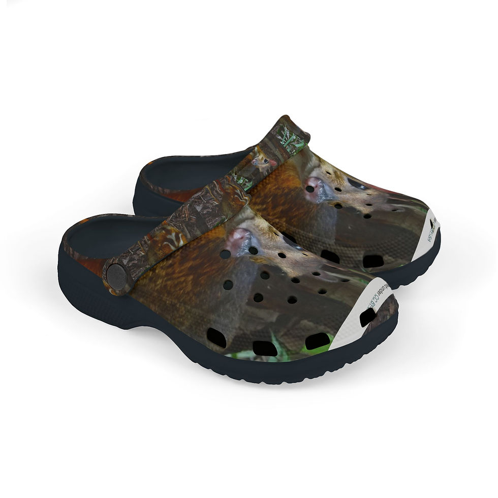 Thumbnail: Kid's EVA Foam Clogs (AOP)