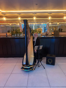 Aviators Ball, Fairmont Park.JPG