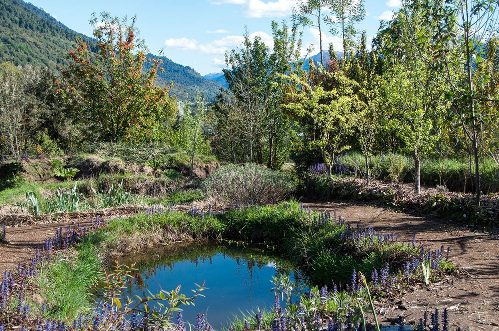 De un pasto árido a un hermoso jardín arbolado en diez años