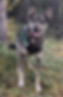 PXL_20240907_022830154_edited_edited.jpg