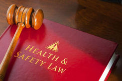 Proposed amendments to the WHS Act