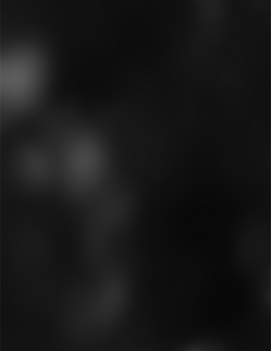 blackgradientslk-intellectual property of top notch branding co- not for reuse.png