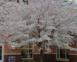 New Jersey Veterans Memorial Home - Vineland