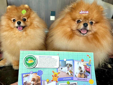 Causa animal ganha repercussão nas mídias por novos acolhimentos de influencer do mundo Pet