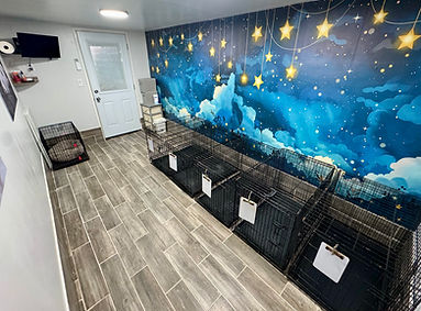 littles room.JPG