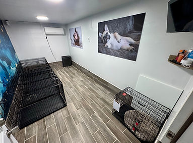 littles room 2.JPG