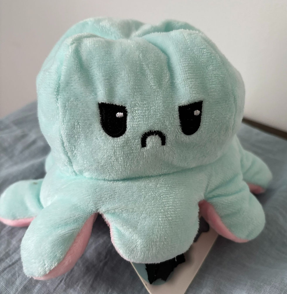 Miniature : PIEUVRE PELUCHE REVERSIBLE