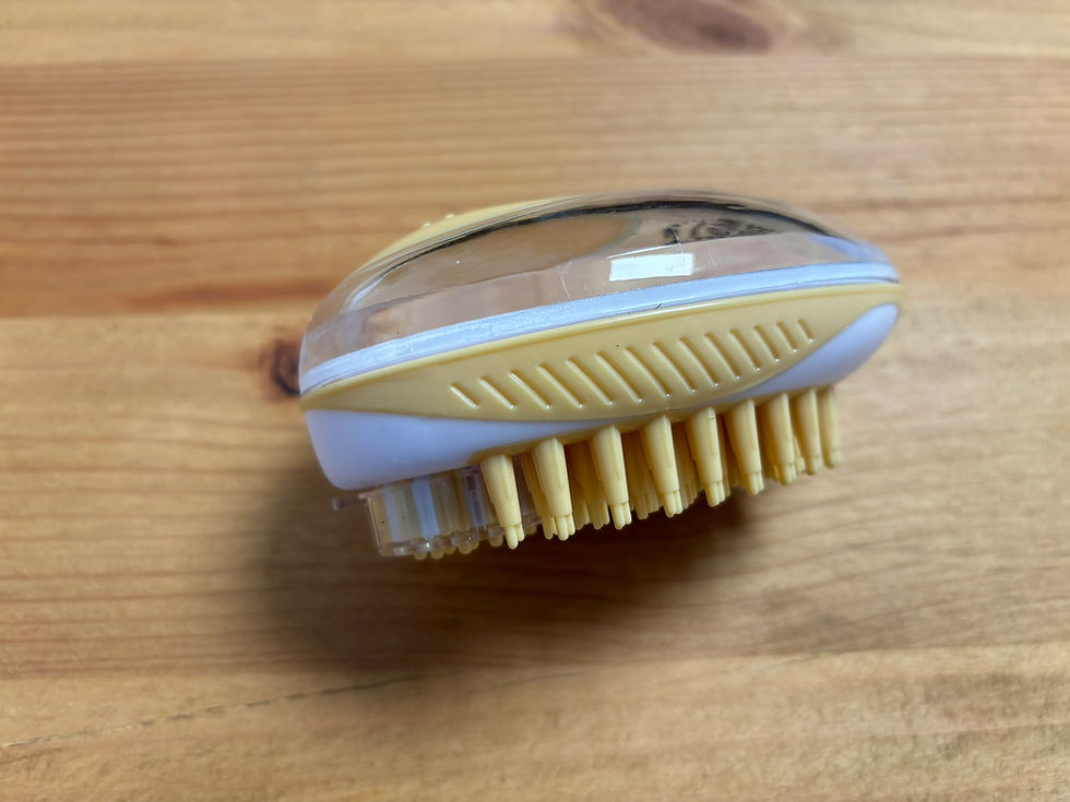 Miniature : BROSSE DE BAIN