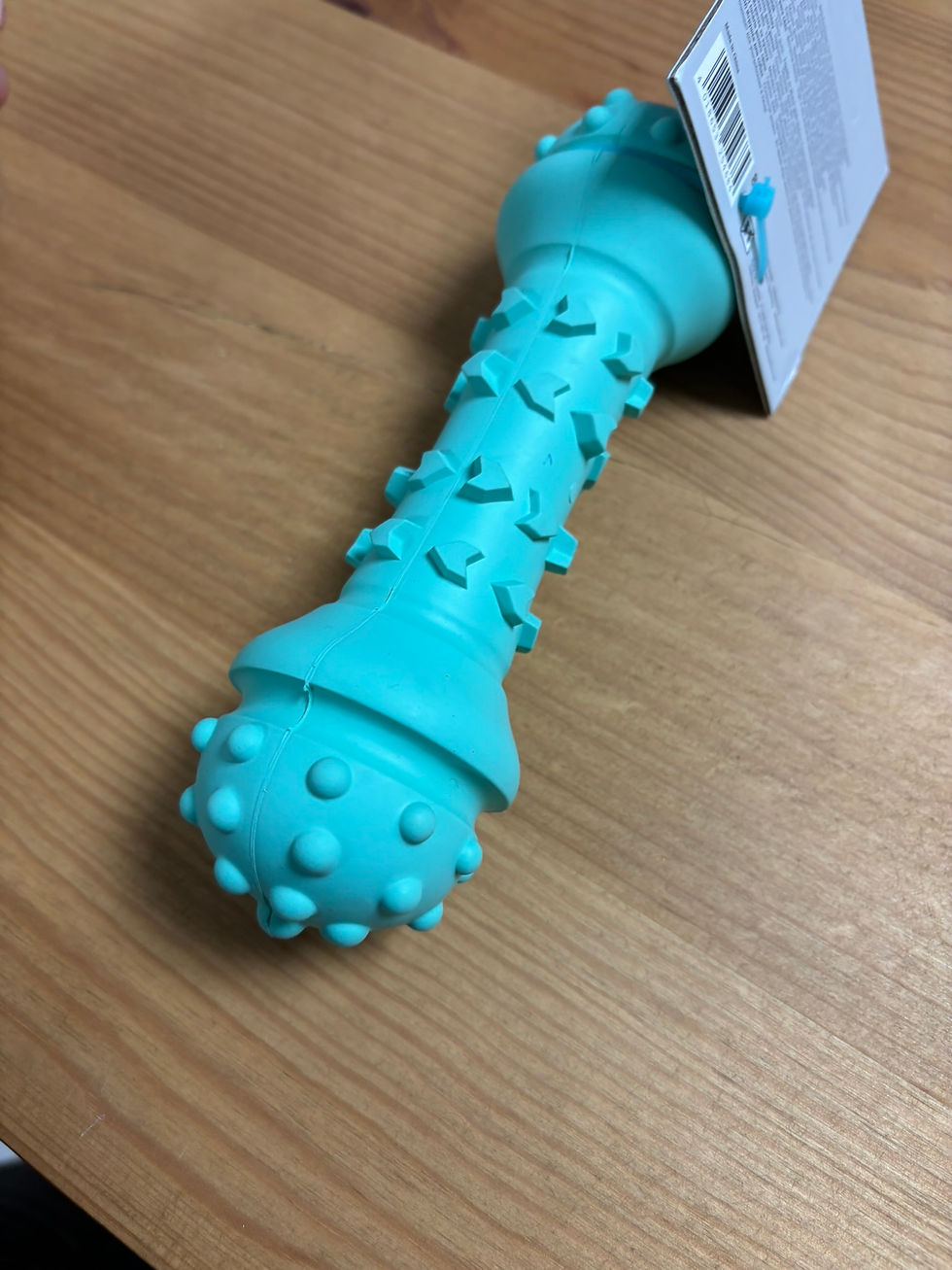 Miniature : Haltère Toy Fastic