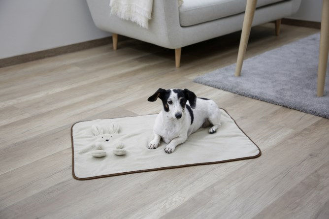Miniature : COUVERTURE pour chiot