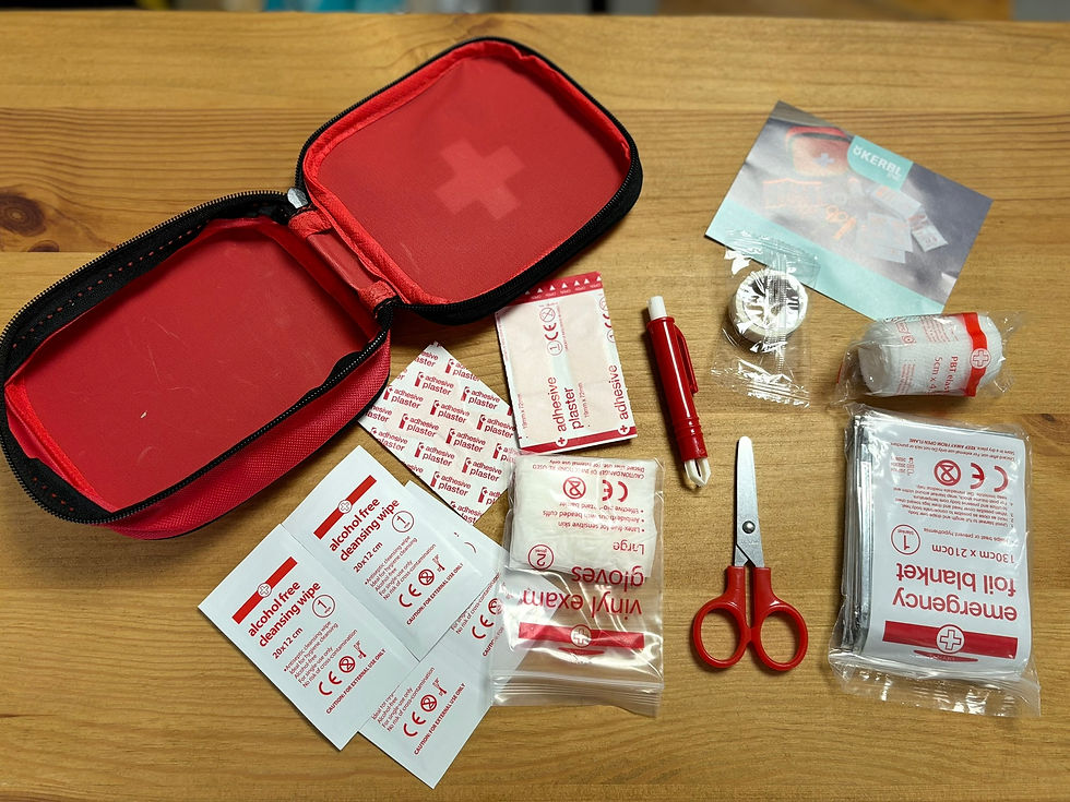 Miniature : TROUSSE DE PREMIERS SOINS