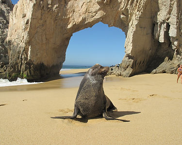 Cabo San Lucas8.JPG