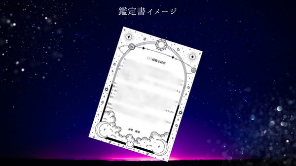 鑑定書イメージ.png