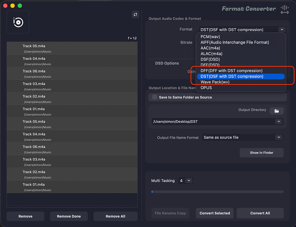 Pine Player Pro のフォーマット変換で出力形式に DST を選んだ画面