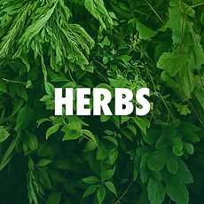 Herbs