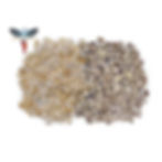 Cowrie Shells