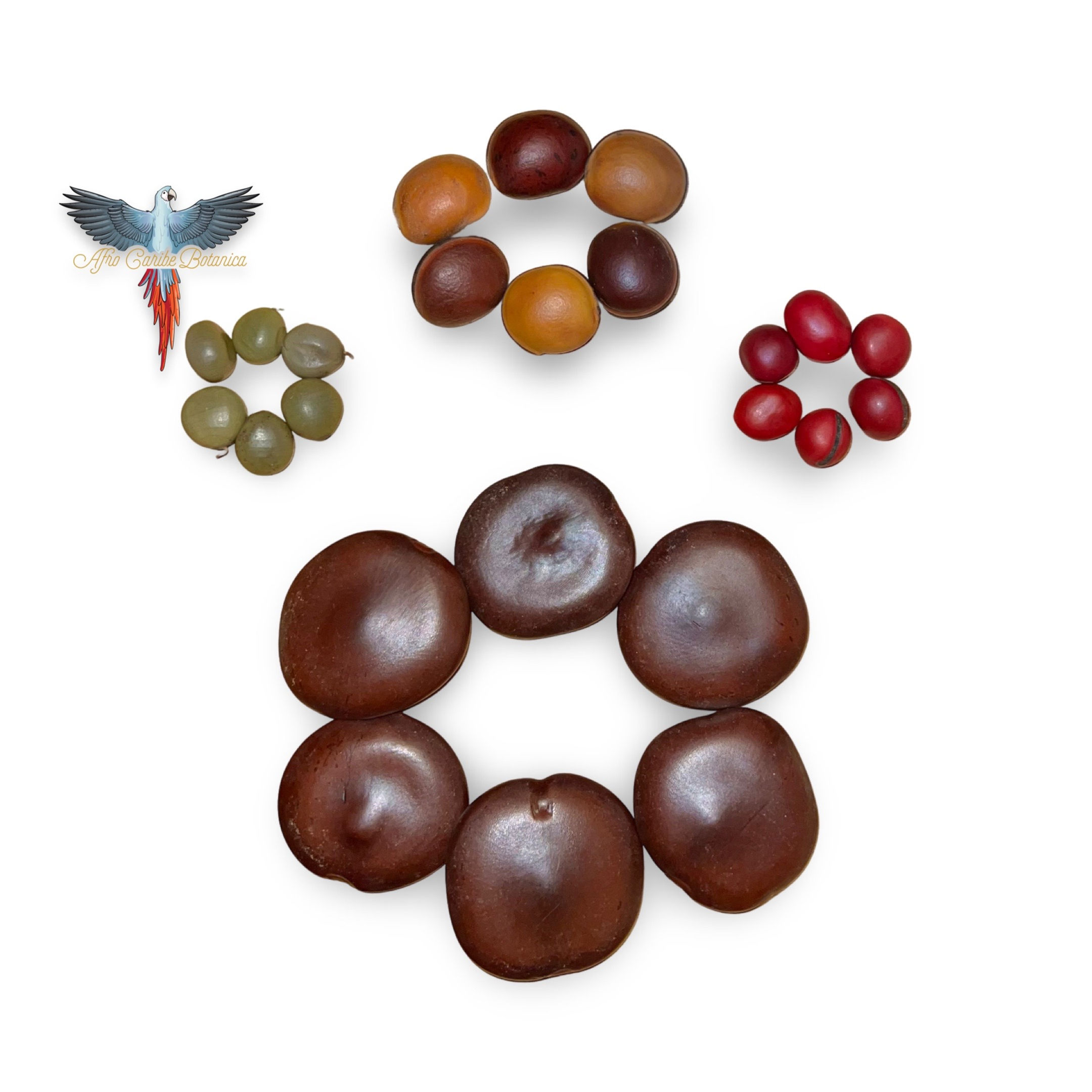 Shango Reinforcement Seeds