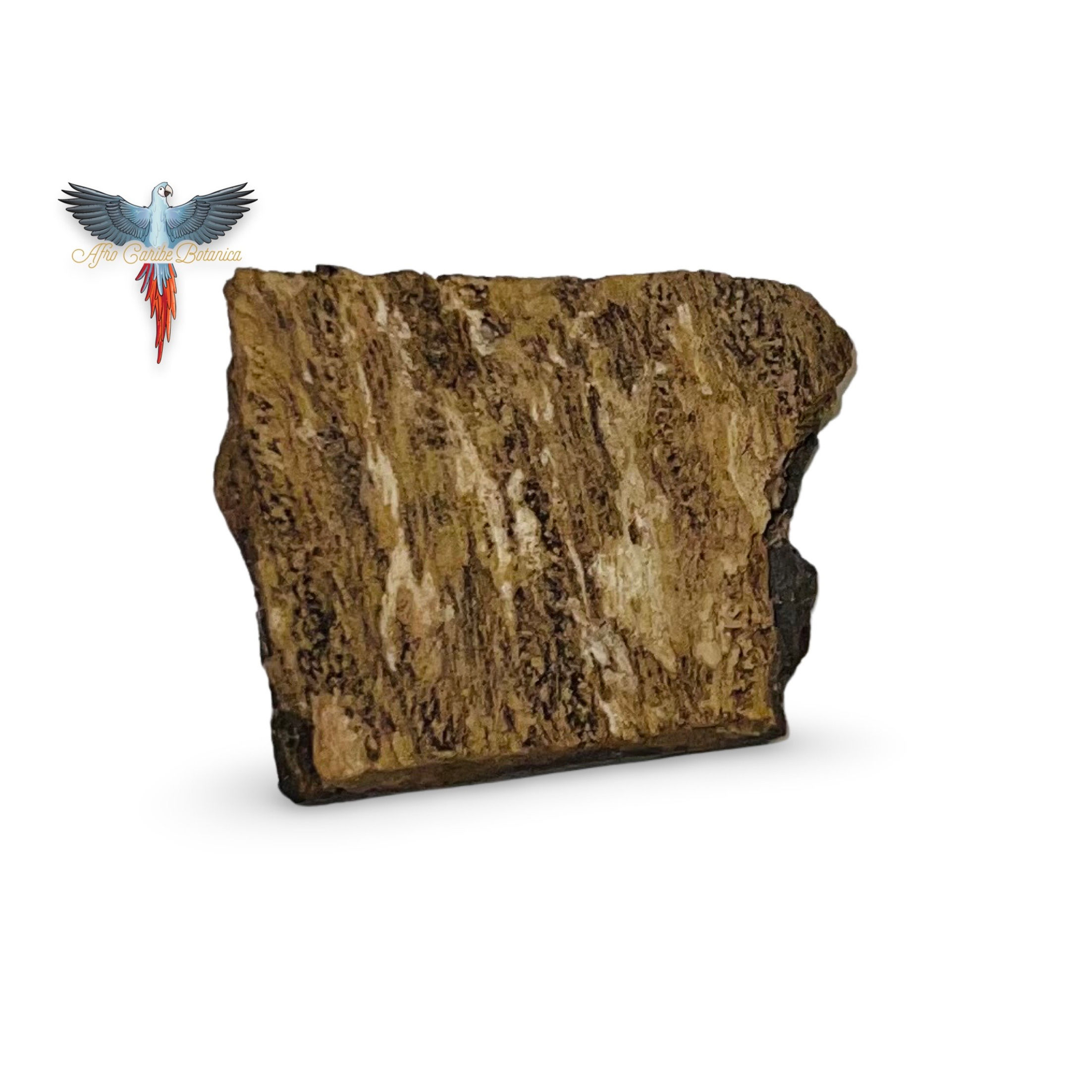 Igi Nla - Asorin - The Mysterious Tree Bark