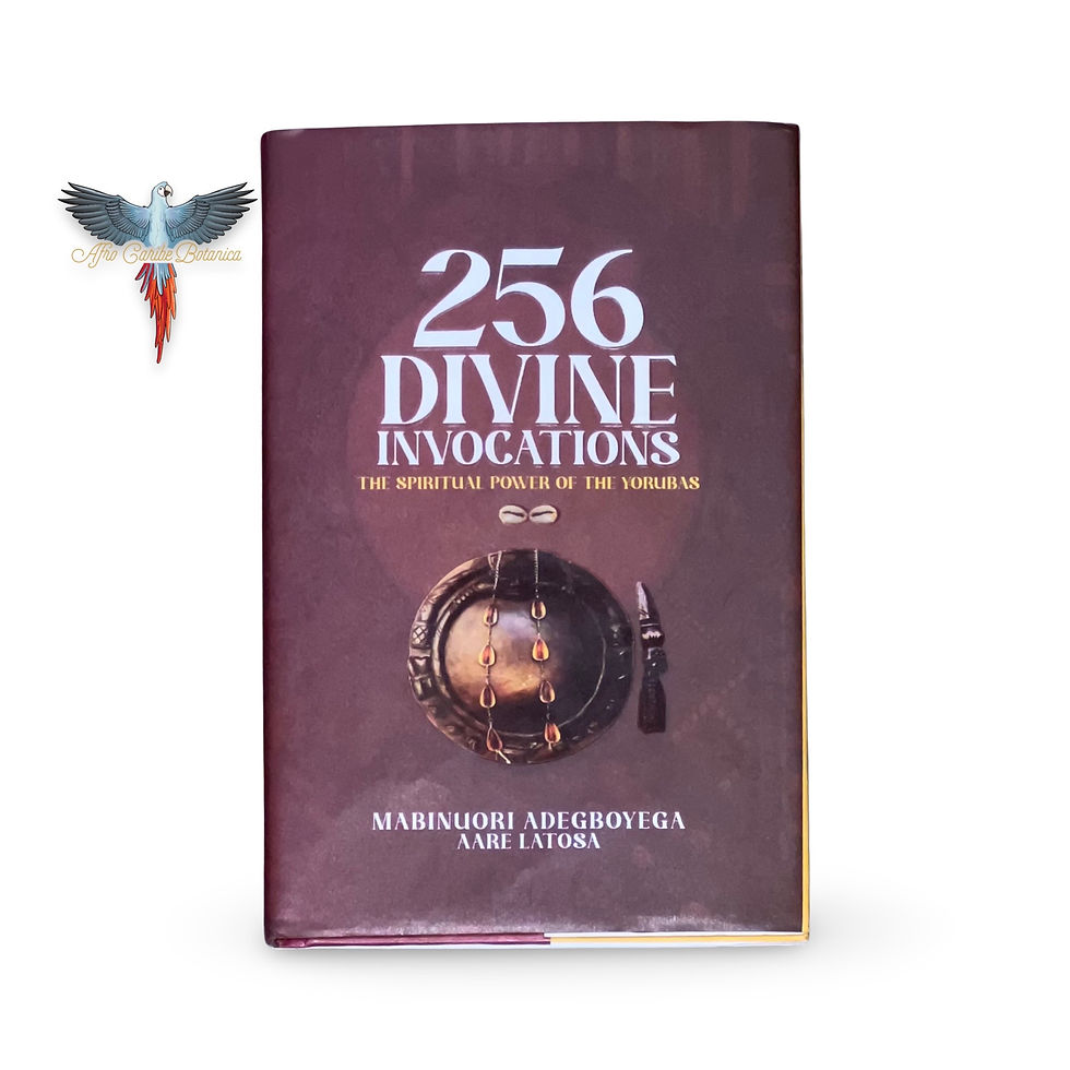 256 Divine Invocations - 256 Iwure - Front