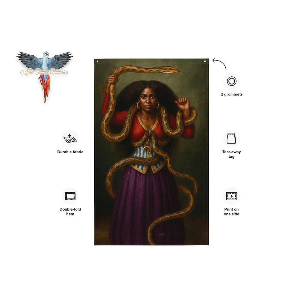 Miniature : St. Marta Dominadora Flag Info