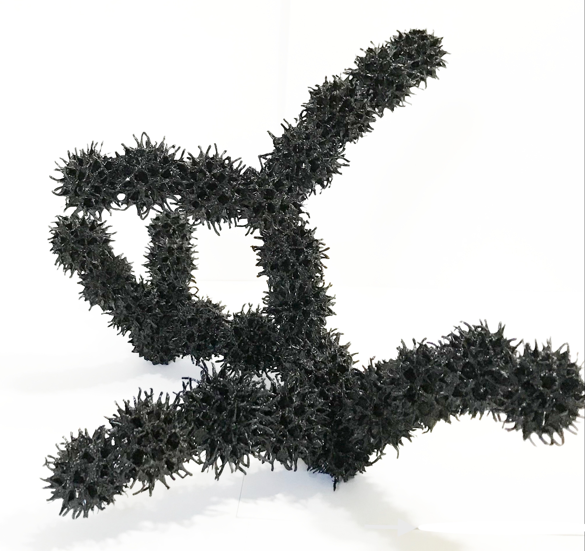 COVID epidemic model made with Liquidambar seeds