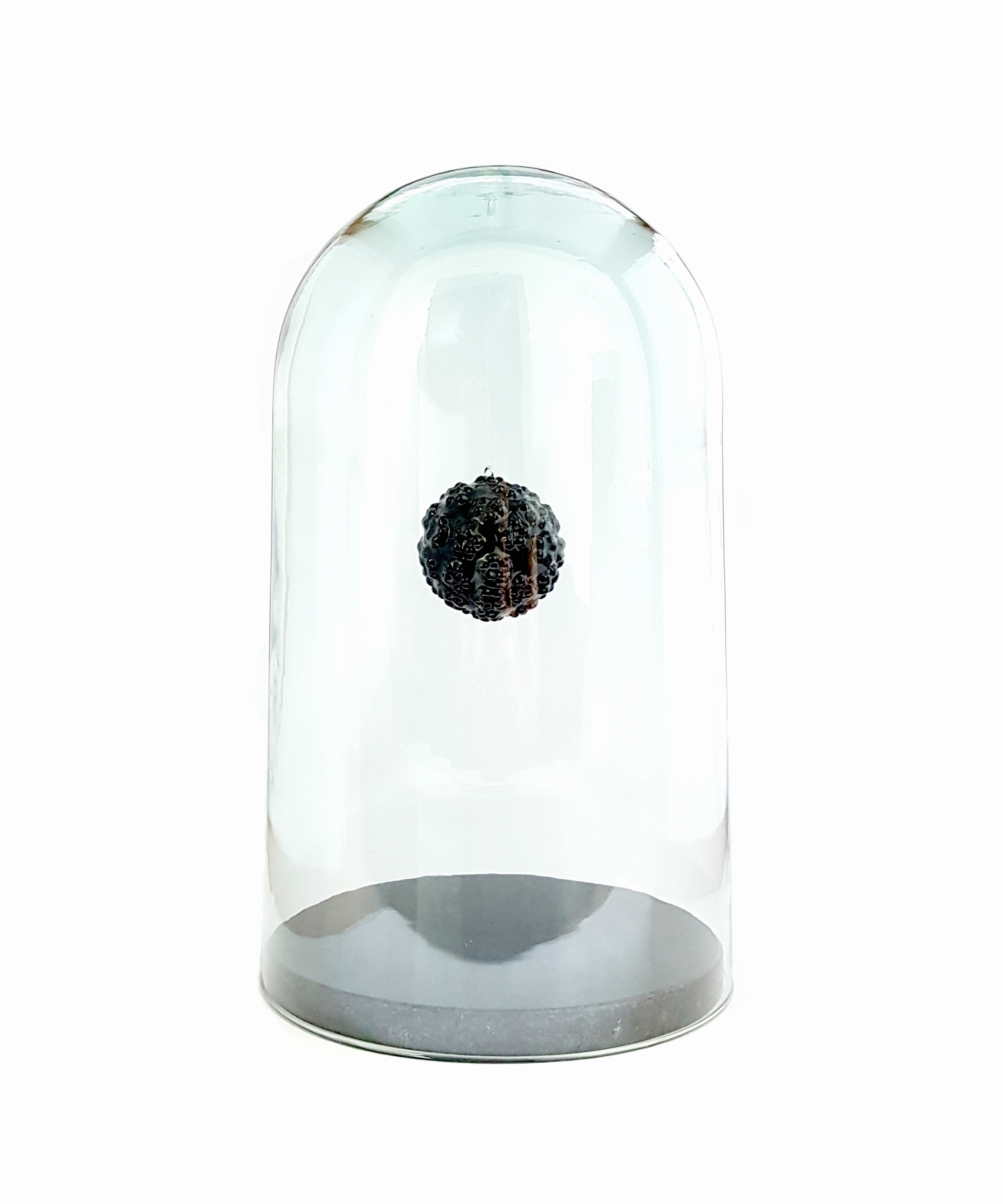 HPV Capsule sculpture