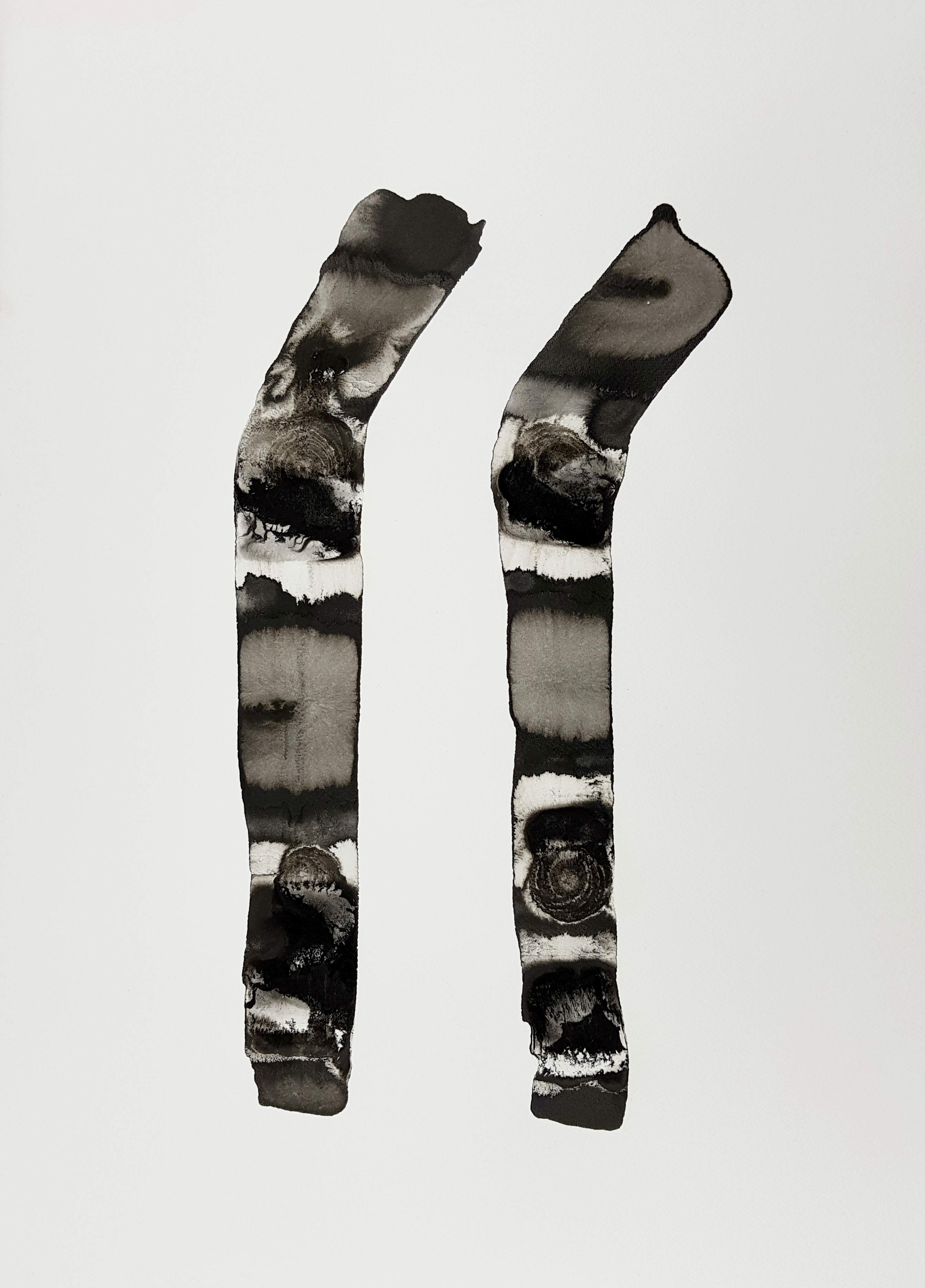 Chromosome work from Karyogram series