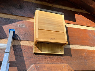 little brown bat house on side of building for bat colony to use