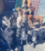 image2 (6)_edited.jpg