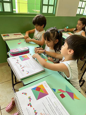 WhatsApp Image 2024-11-13 at 18.21.23.jpeg