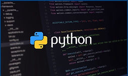 python.jpeg