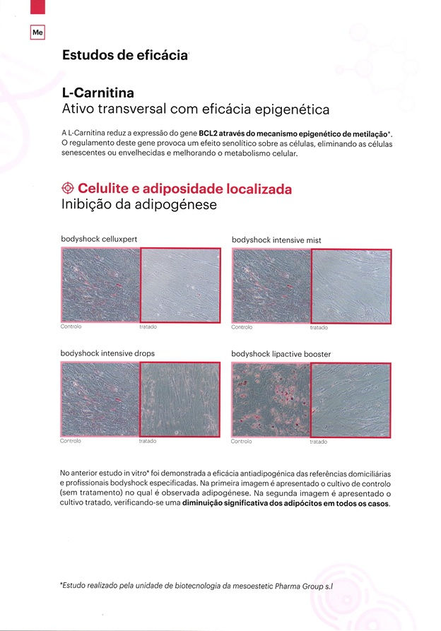 Miniatura: meso.prof x.prof 012 L-carnitina - 1 ampola x  5ml