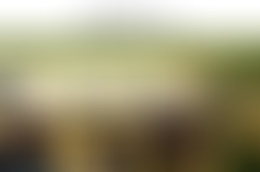 Chris Quinlan Art in The Killarney Park Hotel