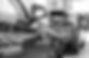 hT0ceoZO-car-dealer-showroom-display-xl-1.jpg